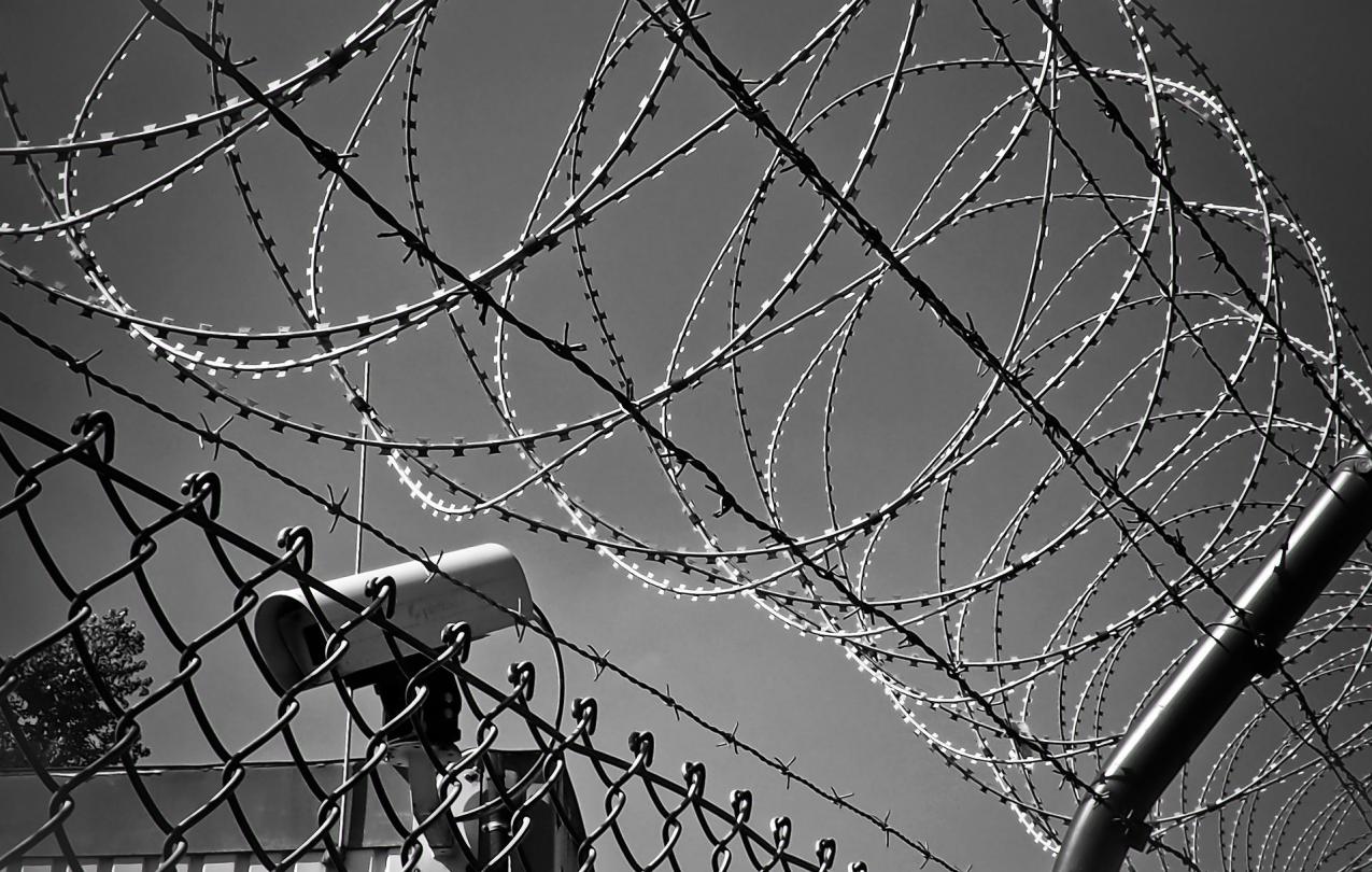 image of barbed wire fence